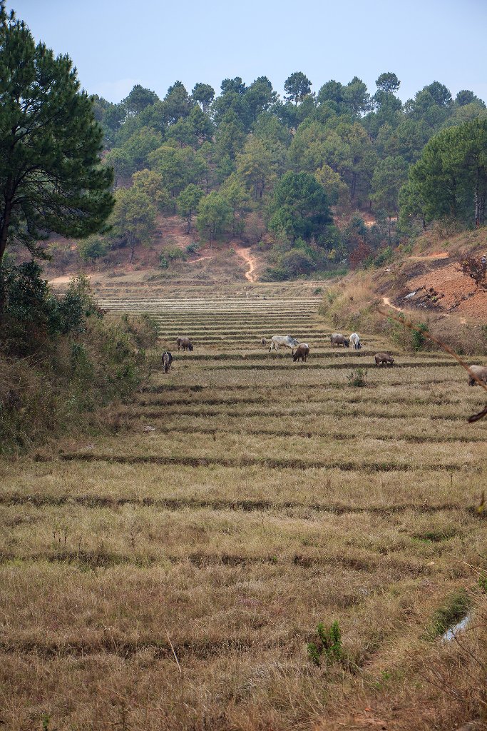 20-Landscape around Kalaw.jpg